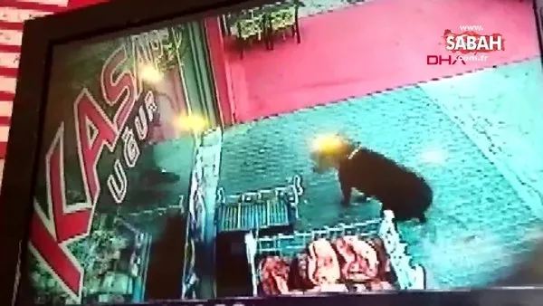 Köpekten kaçarken çarptığı cam kapıyı parçaladı | Video
