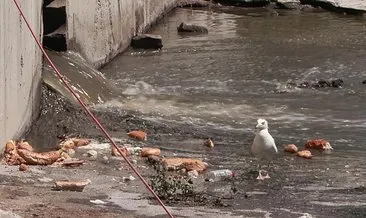 Küçükçekmece’de dereden gelen kokuya mahalleli isyan etti, atık döküldüğü iddia edildi #istanbul