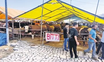 Avcılar’da kurbanlıklar bitti