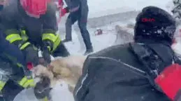 Konya’da 15 metre derinliğindeki kuyuya düşen köpek kurtarıldı
