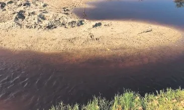 Belediye eliyle çevre katliamı