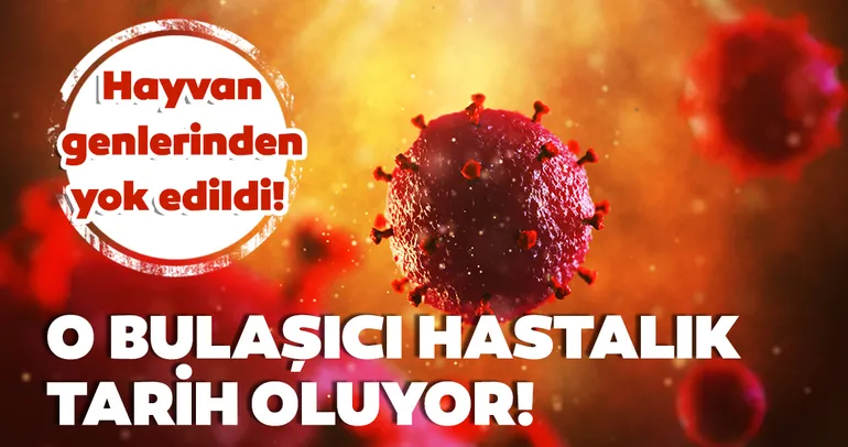 HIV virüsü tarih oluyor!