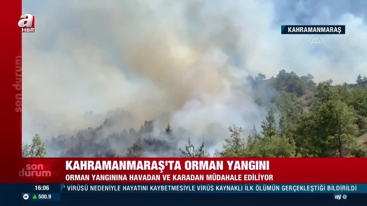 Son Dakika Kahramanmaras Ta Orman Yangini Olay Yerinden Ilk Goruntuler Videosunu Izle Son Dakika Haberleri