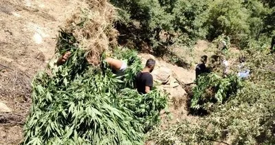 Jandarmadan büyük uyuşturucu operasyonu #manisa