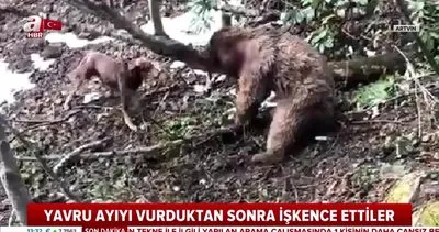Son dakika: Sosyal medyayı ayağa kaldıran olayda yeni gelişme! Yavru ayıya işkence eden cani gözaltına alındı | Video