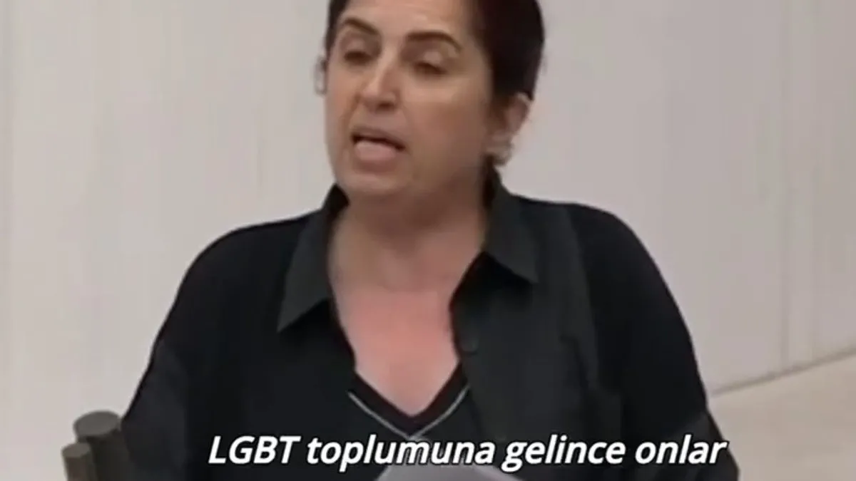 DEM Parti'li Sevilay Çelenk LGBT hareketini savundu! AK Partili Usta’dan tepki: İzlemeyeceğiz, izlettirmeyeceğiz!