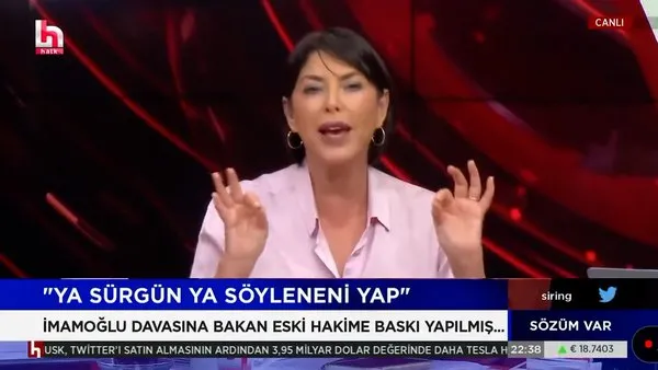 Halk TV canlı yayınında Şirin Payzın'dan skandal ifadeler 