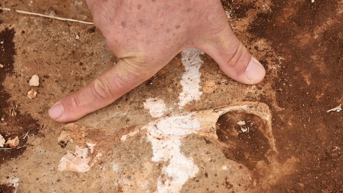 Diyarbakır’da inanılmaz keşif: Tetis Denizi zemini olabilir! Milyonlarca yıl boyunca oluşan fay kırıkları… Diyarbakır’da inanılmaz keşif: Tetis Denizi zemini olabilir! Milyonlarca yıl boyunca oluşan fay kırıkları…