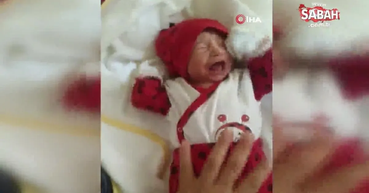 antalya da cani baba 3 aylik kizi elif ada yi doverek oldurdu video videosunu izle son dakika haberleri