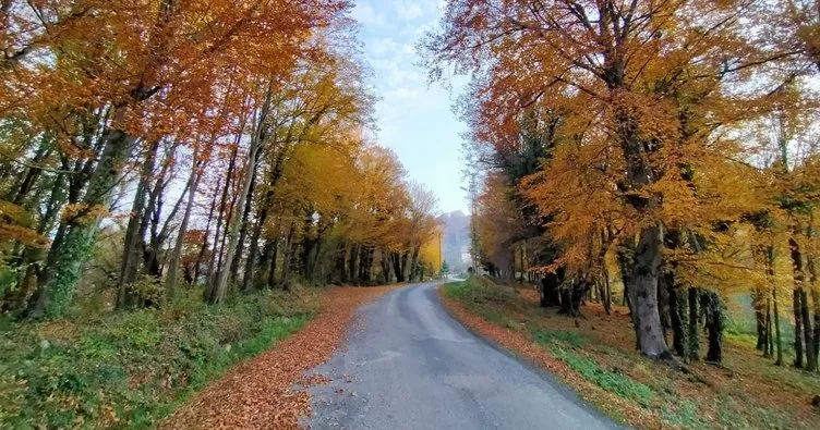 Ordu’da kartpostallık kareler
