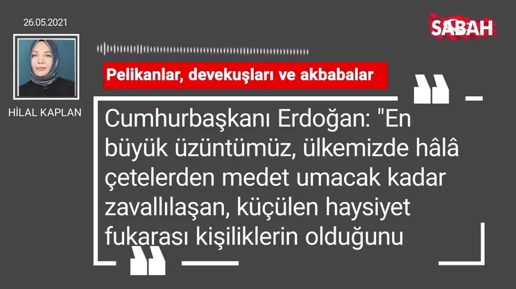 Hilal Kaplan | Pelikanlar, devekuşları ve akbabalar