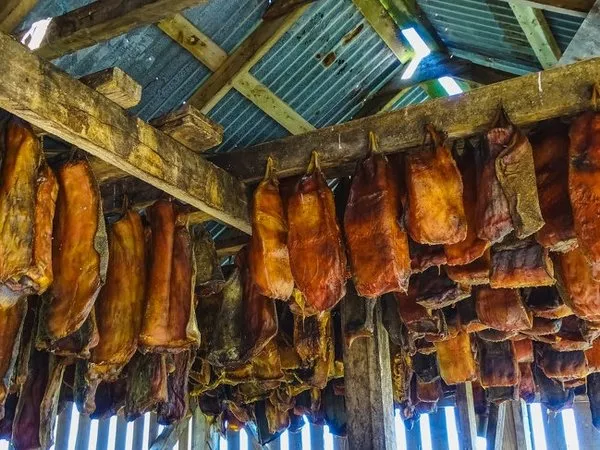 Dünyanın en tehlikeli yiyecekleri