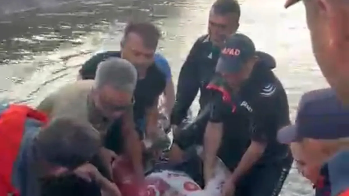 Su kanalına düşen gencin cansız bedenine ulaşıldı!