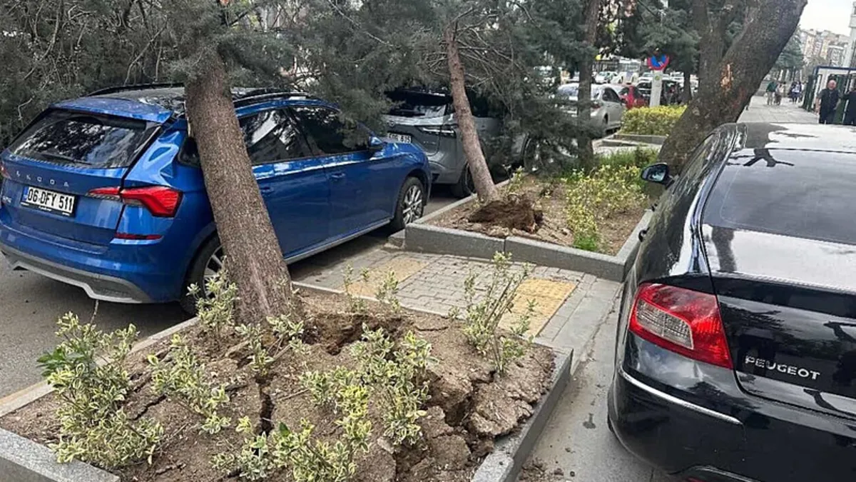 Ankara’da fırtına kabusu! Saatte 45 km hıza ulaştı: Ağaçlar devrildi, çatılar uçtu Ankara’da fırtına kabusu! Saatte 45 km hıza ulaştı: Ağaçlar devrildi, çatılar uçtu