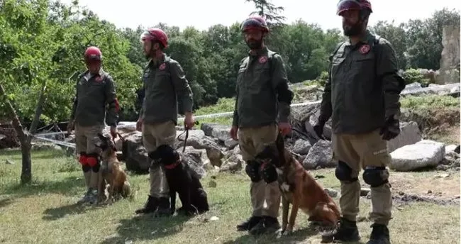 9 ülkeden 27 arama kurtarma köpeği İstanbul’daki şampiyonada yarıştı! Japonya ekibi birinciliği elde etti