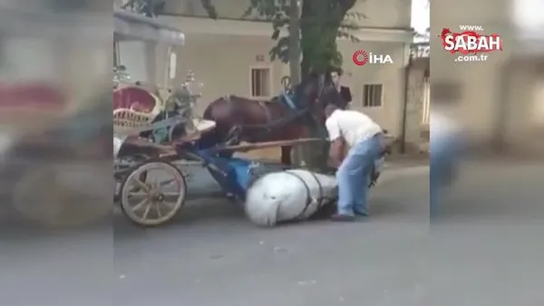 İstanbul Büyükada'da faytona koşulan atın içler acısı hali kamerada