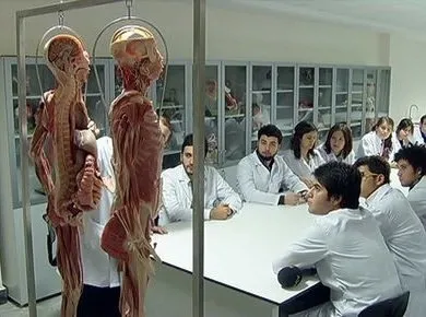’’Plastine’’ kadavra ile anatomi dersi