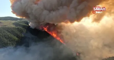 Kanada’da yangın felaketi! 13.4 milyon hektarlık alan kül oldu | Video
