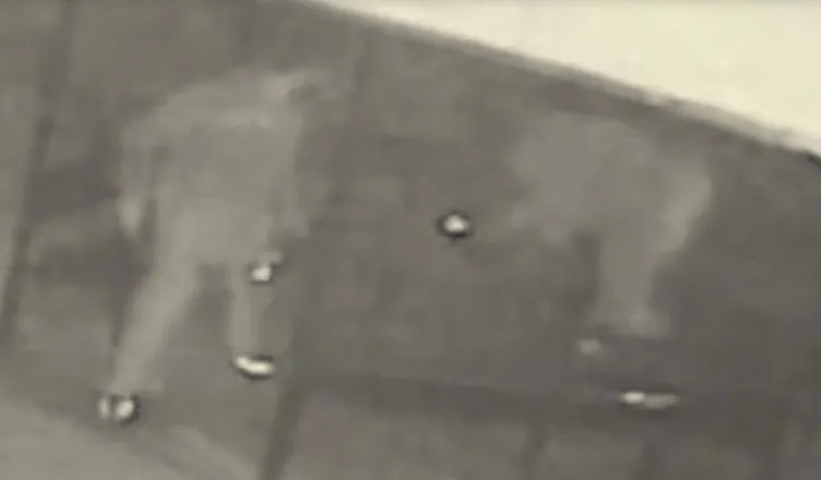 Birlikte alkol aldığı arkadaşını öldürdü!