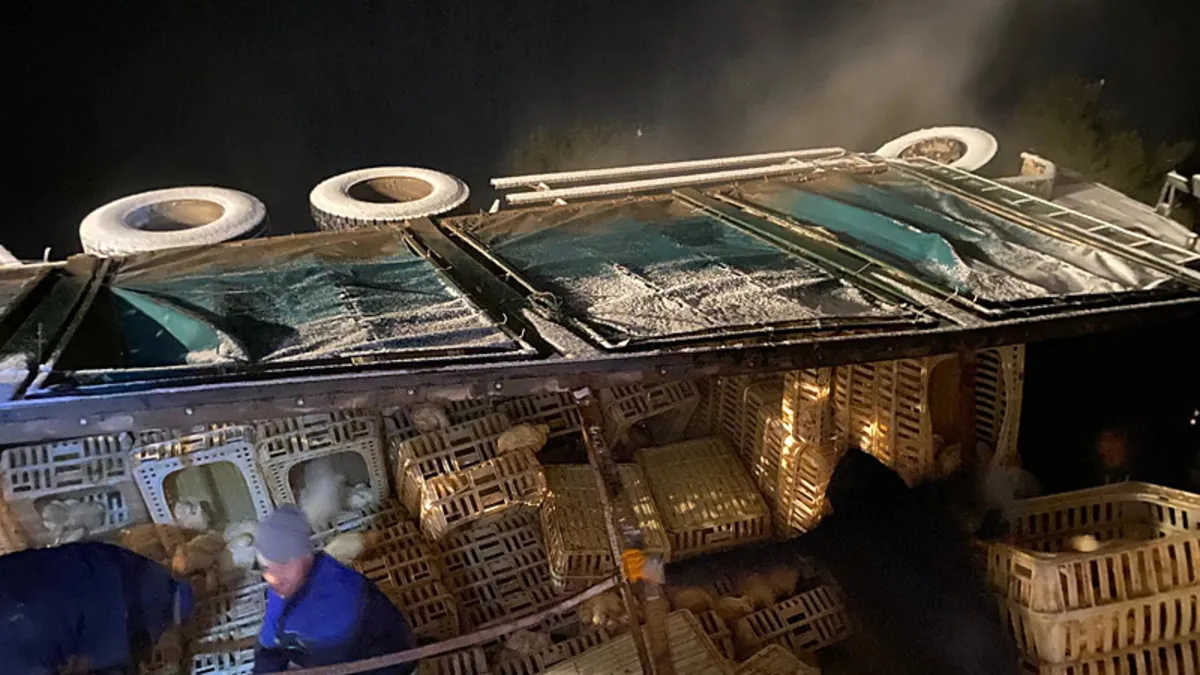 Bolu’da feci kaza: Devrilen kamyondaki yüzlerce tavuk telef oldu! Bolu’da feci kaza: Devrilen kamyondaki yüzlerce tavuk telef oldu!