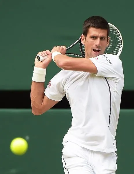 Wimbledon şampiyon Djokovic