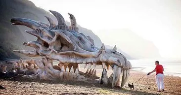 Ejderhayı silahla vurarak öldürdü!