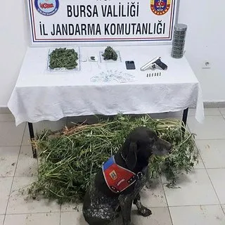 Bursa'da jandarmadan uyuşturucu operasyonu: 1 kişi tutuklandı