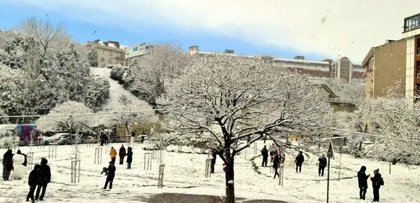 istanbulda-beklenen-kar-yagisi-etkisini-arttirdi-1768204798861.jpg