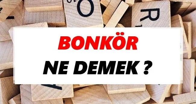 Bonkör Ne Demek? TDK’ya Göre Bonkör Sözlük Anlamı Nedir?