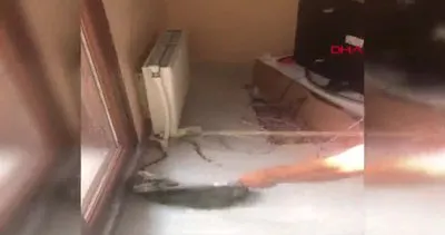 İstanbul Avcılar’da yılan paniği! Eve giren yılanı itfaiye eri böyle yakaladı