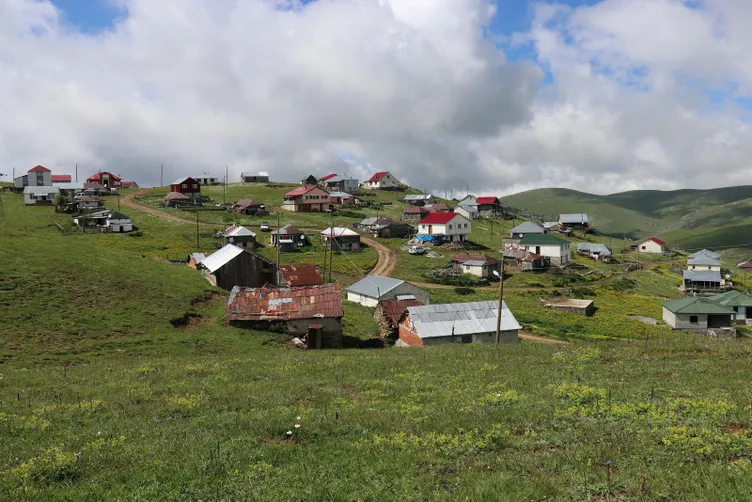 Korku filmi değil gerçek: Ayılardan korunmak için öyle bir yöntem denediler ki…