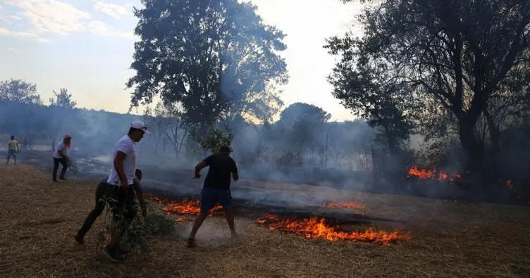 Muğla’da tarım arazisinde yangın