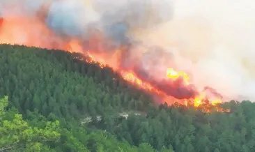 Orman yangını şiddetli rüzgârın etkisiyle büyüdü