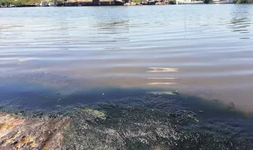 Riva’da ‘siyah dere’ isyanı