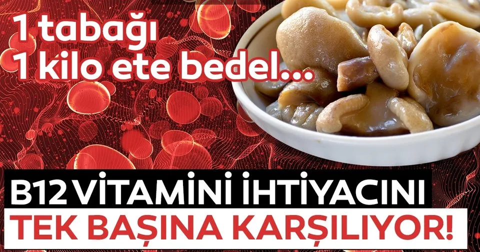 Mucize Besin B12 Vitamini Ihtiyacini Tek Basina Karsiliyor Iste B12 Vitamini Bulunduran Besinler Ve Faydalari Son Dakika Haberler