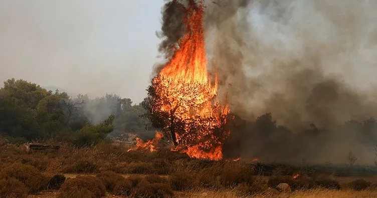 Yunanistan’da orman yangını!