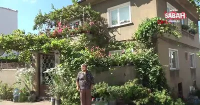 Edirne’de yaşayan Firdevs Güler’in çiçek bahçesi gibi evini görenler hayran kalıyor!