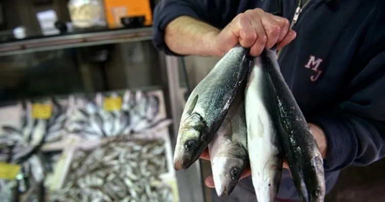 Samsun’da balık fiyatları