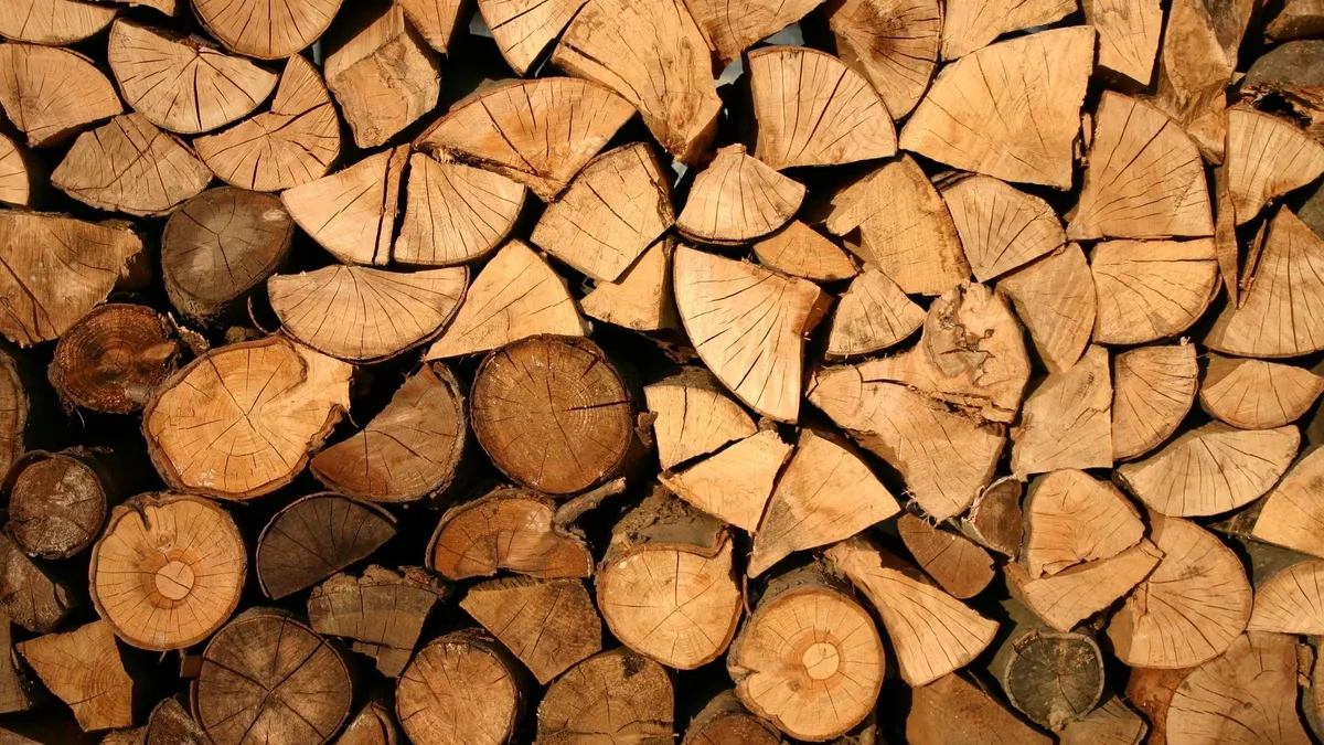 Bilim insanlarından çığır açan keşif! Ahşap atıkları yakıta dönüştürüldü