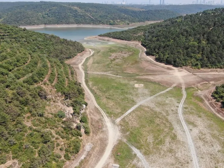 SON DAKİKA: İstanbul’da su krizi kapıda! Megakent’i besleyen baraj kurdu! Şimdi orada mandalar otluyor...