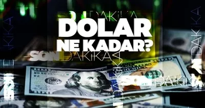 ANLIK DOLAR/TL ALIŞ SATIŞ TAKİP EKRANI: 8 Haziran 2023 Döviz kuru gelişmeleri ile anlık 1 dolar ne kadar, kaç TL?