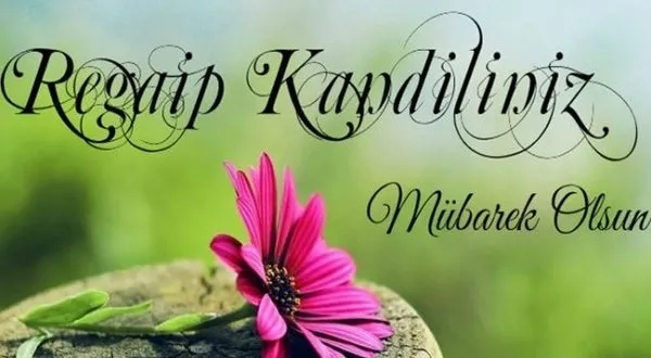 Regaip Kandili mesajları 2018 ile sevdiklerini unutma! – İşte en güzel Regaip Kandil mesajları