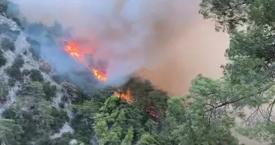 Muğla’da yangınla mücadele sürüyor #mugla