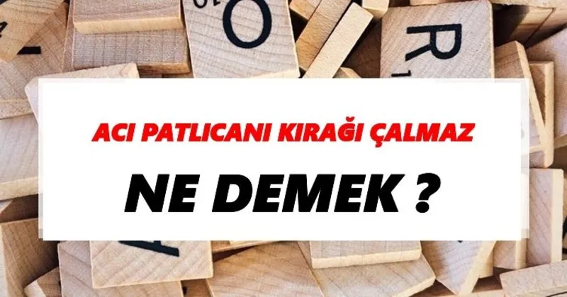 aci patlicani kiragi calmaz ne demek tdk ya gore aci patlicani kiragi calmaz sozluk anlami nedir tdk anlami haberleri