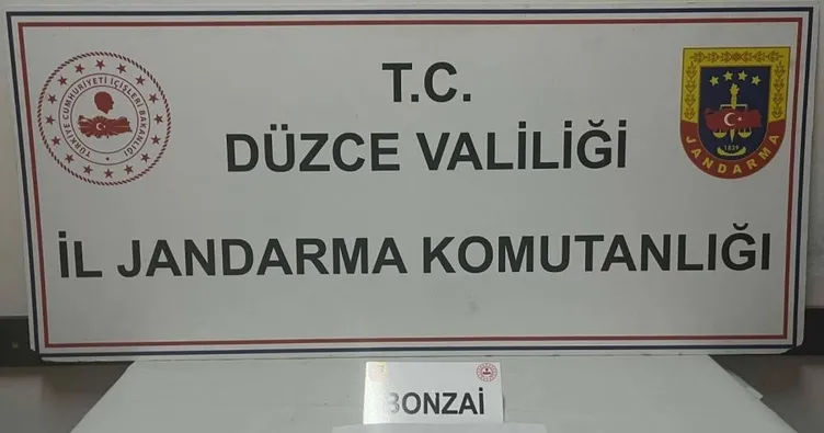 Düzce’de uyuşturucu operasyonu