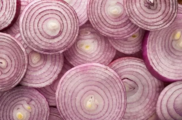 Coraptaki Sogan Agrilari Kesiyor Saglik Haberleri