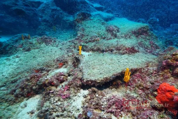 Dünyanın en eski gemi batığı Antalya'da bulundu