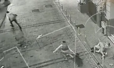 İstanbul’da pitbullu gasp: İşte o anlar