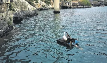 Batık şehrin hüznü Halfeti