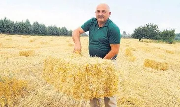 Bizi ayakta tutan vatan aşkı